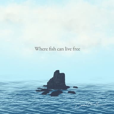 Where fish can live free
