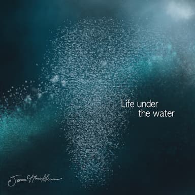 Life Under The Water